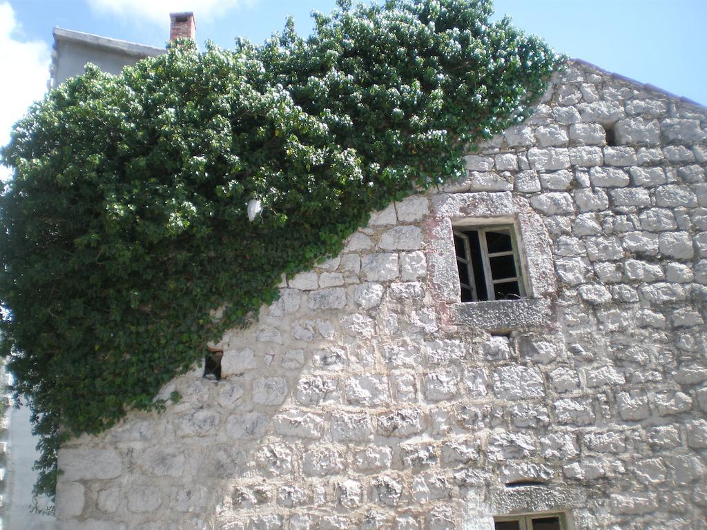 Villa Lidija Budua Camera foto
